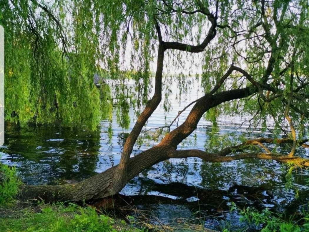 Ferienresidenz Naturoase Krakow am See Exterior foto